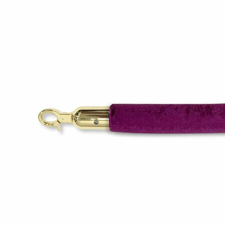 CAPTAIN COLD 72 in. Velour Closable Hooks, Purple & Gold CA3251190